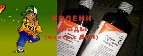 индика Зуевка