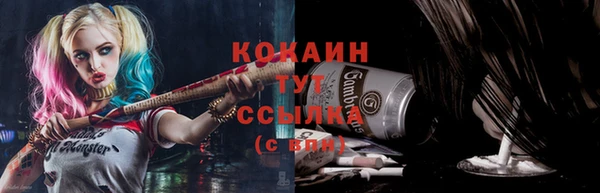 дмт Аркадак