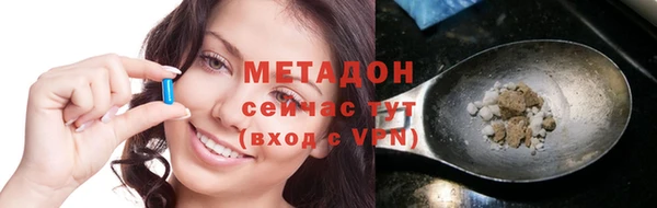 шишки Арсеньев