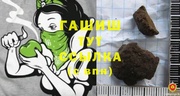 шишки Арсеньев