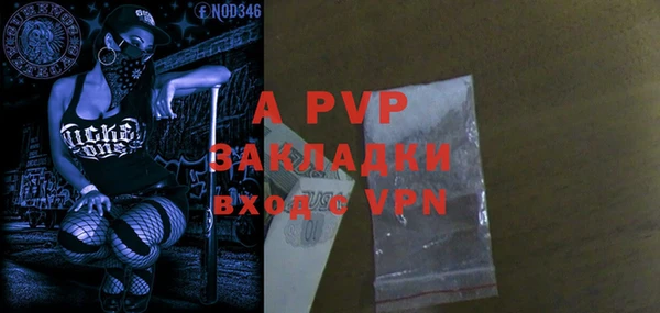 шишки Арсеньев