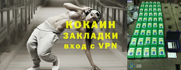 шишки Арсеньев