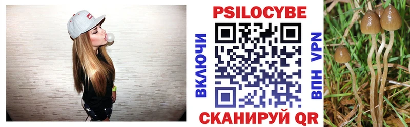 Галлюциногенные грибы Psilocybine cubensis  Купить где  Арск 